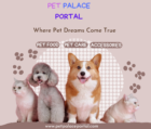 Pet Palace Portal